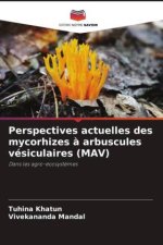 Perspectives actuelles des mycorhizes ? arbuscules vésiculaires (MAV)
