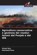 Agricoltura conservativa e gestione dei residui: lezioni dal Punjab e dal WB