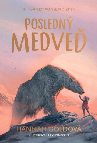 Poslednďż˝ medveďż˝