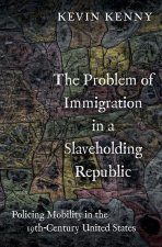 Problem of Immigration in a Slaveholding Republic