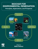 Biochar for Environmental Remediation