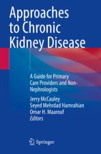 Approaches to Chronic Kidney Disease