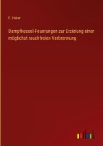 Dampfkessel-Feuerungen zur Erzielung einer möglichst rauchfreien Verbrennung