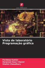 Vista de laboratório Programaç?o gráfica
