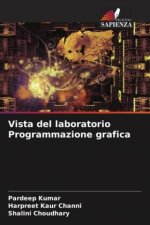 Vista del laboratorio Programmazione grafica