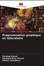 Programmation graphique en laboratoire