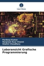 Laboransicht Grafische Programmierung