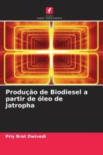 Produç?o de Biodiesel a partir de óleo de Jatropha