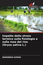 Impatto dello stress termico sulla fisiologia e sulla resa del riso (Oryza sativa L.)
