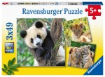 Ravensburger Kinderpuzzle - 05666 Panda, Tiger und Löwe - 3x49 Teile Puzzle für Kinder ab 5 Jahren