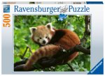 Ravensburger Puzzle 17381 Süßer roter Panda - 500 Teile Puzzle für Erwachsene und Kinder ab 1'2 Jahren