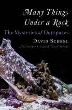 Many Things Under a Rock - The Mysteries of Octopuses