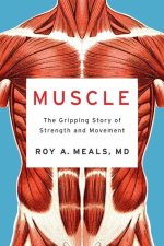 Muscle