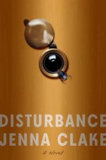 Disturbance - A Novel