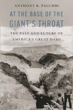 At the Base of the Giant's Throat: The Past and Future of America's Great Dams