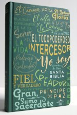 Biblia Rvr 1960 Letra Grande Tama?o Manual, Con Nombres de Dios / Spanish Bible Rvr 1960 Handy Size Large Print, Names