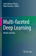 Multi-faceted Deep Learning
