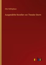 Ausgewählte Novellen von Theodor Storm