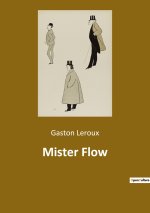 Mister Flow