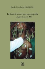 Le vodu à travers son encyclopédie