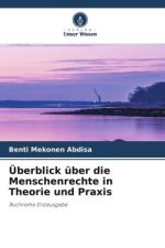 Überblick über die Menschenrechte in Theorie und Praxis