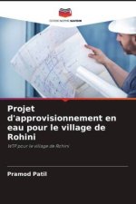 Projet d'approvisionnement en eau pour le village de Rohini