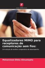 Equalizadores MIMO para receptores de comunicaç?o sem fios: