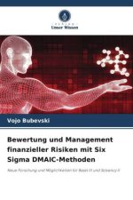 Bewertung und Management finanzieller Risiken mit Six Sigma DMAIC-Methoden