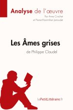 Les Âmes grises de Philippe Claudel (Analyse de l'oeuvre)