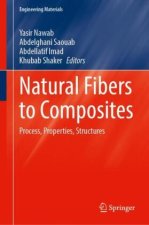 Natural Fibers to Composites