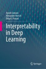Interpretability in Deep Learning