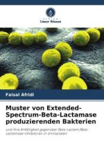 Muster von Extended-Spectrum-Beta-Lactamase produzierenden Bakterien
