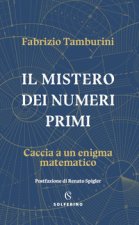 mistero dei numeri primi. Caccia a un enigma matematico