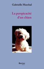 La perspicacité d'un chien