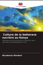 Culture de la betterave sucri?re au Kenya