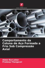 Comportamento da Coluna de Aço Formada a Frio Sob Compress?o Axial