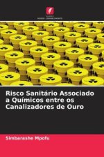 Risco Sanitário Associado a Químicos entre os Canalizadores de Ouro