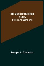 The Guns of Bull Run