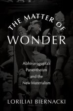 Matter of Wonder