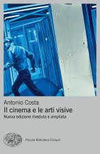 cinema e le arti visive