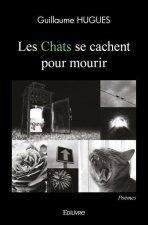 Les chats se cachent pour mourir