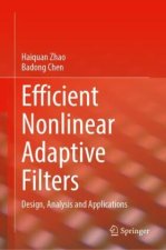 Efficient Nonlinear Adaptive Filters