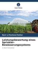 Leistungsbewertung eines Sprinkler-Bewässerungssystems