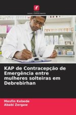 KAP de Contracepç?o de Emerg?ncia entre mulheres solteiras em Debrebirhan
