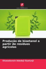 Produç?o de bioetanol a partir de resíduos agrícolas