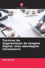 Técnicas de Segmentaç?o de Imagem Digital: Uma abordagem introdutória