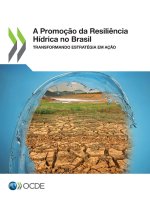 A Promoç?o da Resili?ncia Hídrica no Brasil