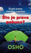 Što je stvarna pobuna?