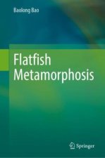 Flatfish Metamorphosis