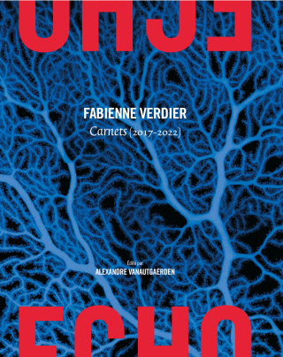 Fabienne Verdier Écho